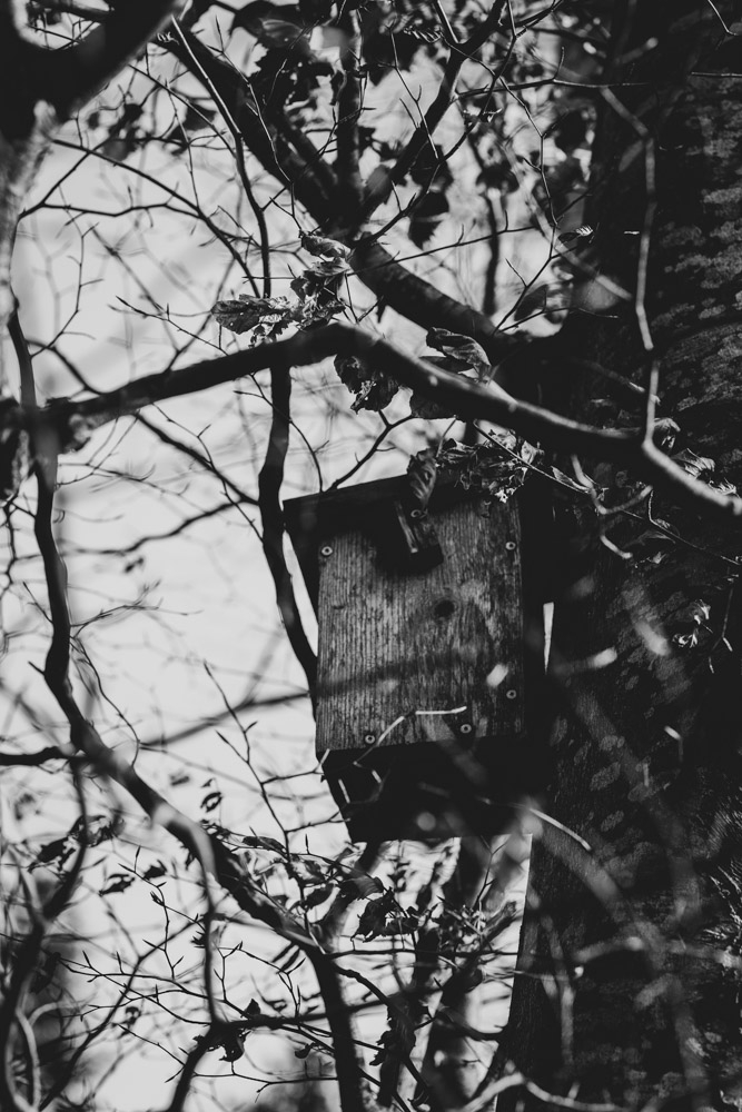 Fotografie schwarzweiss Priska Leutenegger