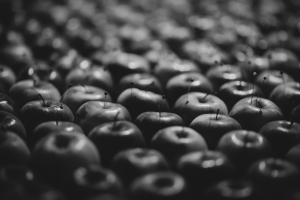 transit · Priska Leutenegger, Kathrin Racz, Heike Röhle · Kulturmühle Lützelflüh