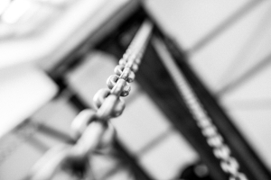 Ausstellung Turbine Giswil Oktober 2018 · Wildwuchs in Shelter