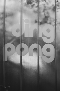 DingPong · Priska Leutenegger und Andrea Gerber, Mokka Rubin, Olten