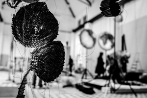 Ausstellung Turbine Giswil Oktober 2018 · Wildwuchs in Shelter